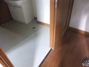 DSCF3187