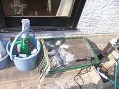 2010_0821_154649-CIMG0079