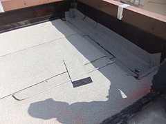 2011_1028_100540-DSCF1973