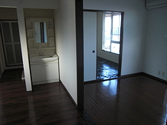 2010_0106_152932-CIMG0005