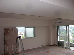 2010_0802_155021-CIMG0049