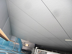 2009_1024_132327-CIMG0019