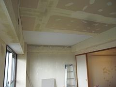 2010_0115_112322-CIMG0016