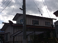 2011_1125_132228-DSCF2892