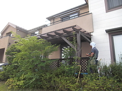 2010_0731_165930-CIMG0036