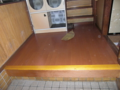 2010_0119_163646-CIMG0040