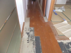 DSCF0370