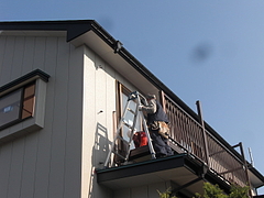 2009_1107_120849-CIMG0011