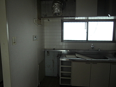 2010_0123_115951-CIMG0014