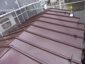 DSCF8280
