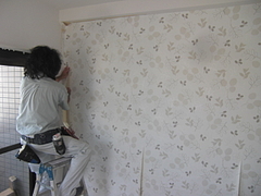 2010_0806_132117-CIMG0092