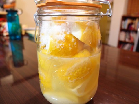 saltlemon2