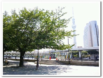 公園