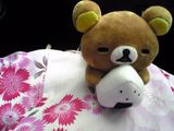c941165d.JPG