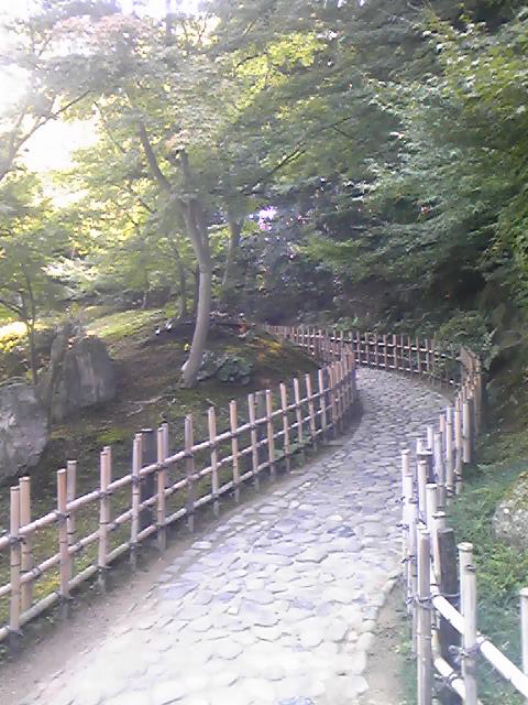 048c68a0.jpg