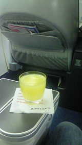 mimosa