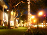 nighrt