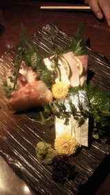 sashimi