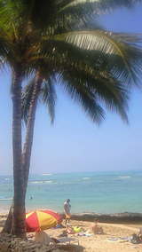 waikiki