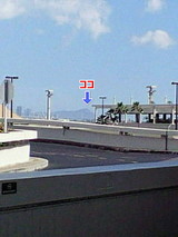 749af011.jpg