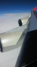 wing