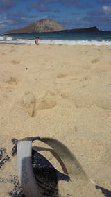 beach1