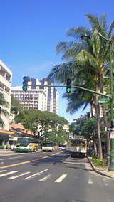 kuhio