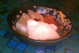 8d15003f.JPG