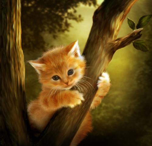 1408617577_cat-hunging-tree