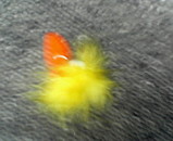 8b2ef73f.jpg