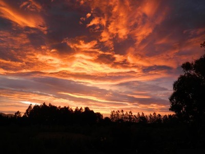 夕焼け