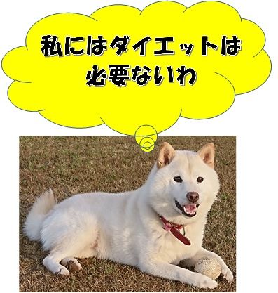 ダイエットは