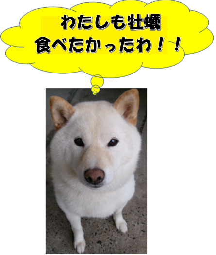 kaki