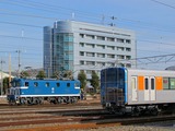 2012.1.19-51077F�ü�-��Ŵ¦�����ؤ���ǥ�507