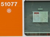 2012.1.19-51077F�ü�-�ü��ʪ����ɼ