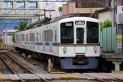 2017.5.14-ポピー臨-4005F臨時御花畑停車中