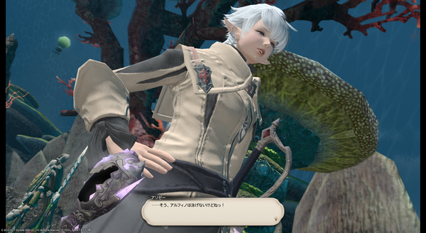 ffxiv_20170617_150153