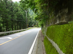 P1000979