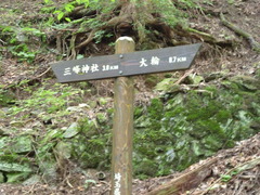 P1010015