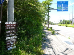 P1010090