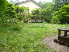P1000540
