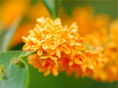 image[2]