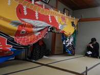 DSCN7055