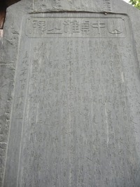 DSCN8442