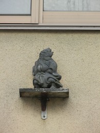 DSCN8377