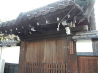 DSCN8447