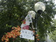 DSCN8360