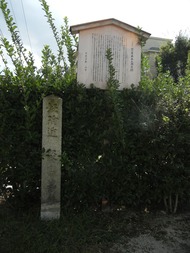 DSCN8391