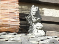 DSCN8410