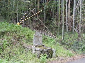 タケノコ専門卸売市場 : 歴史探訪京都から